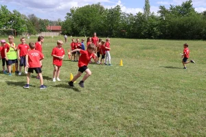IMG_6313 IMG_6313