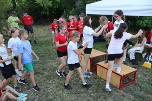 IMG_6446 IMG_6446